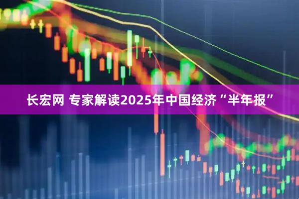 长宏网 专家解读2025年中国经济“半年报”